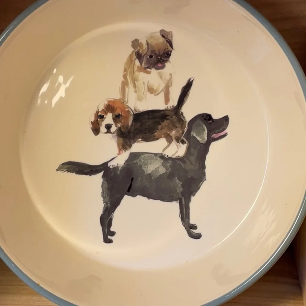 “FEED ME” large dog bowl with lab, beagle, pug artfully painted inside